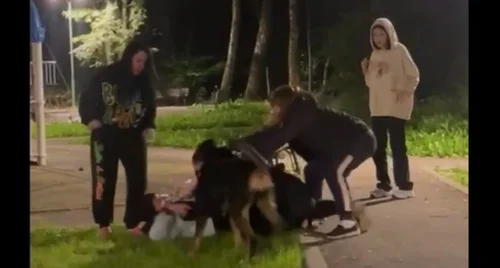 Момент нападения на женщину в хиджабе в Новой Москве. Фото: скрин видео