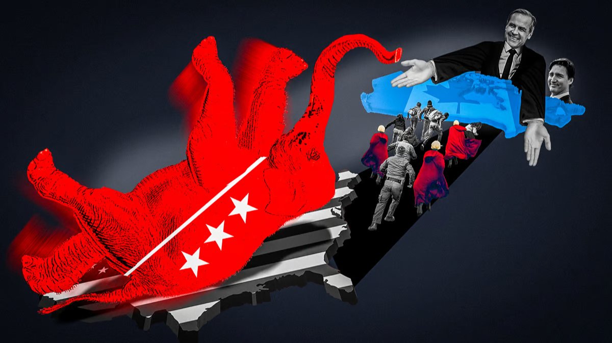 Слон зашевелился