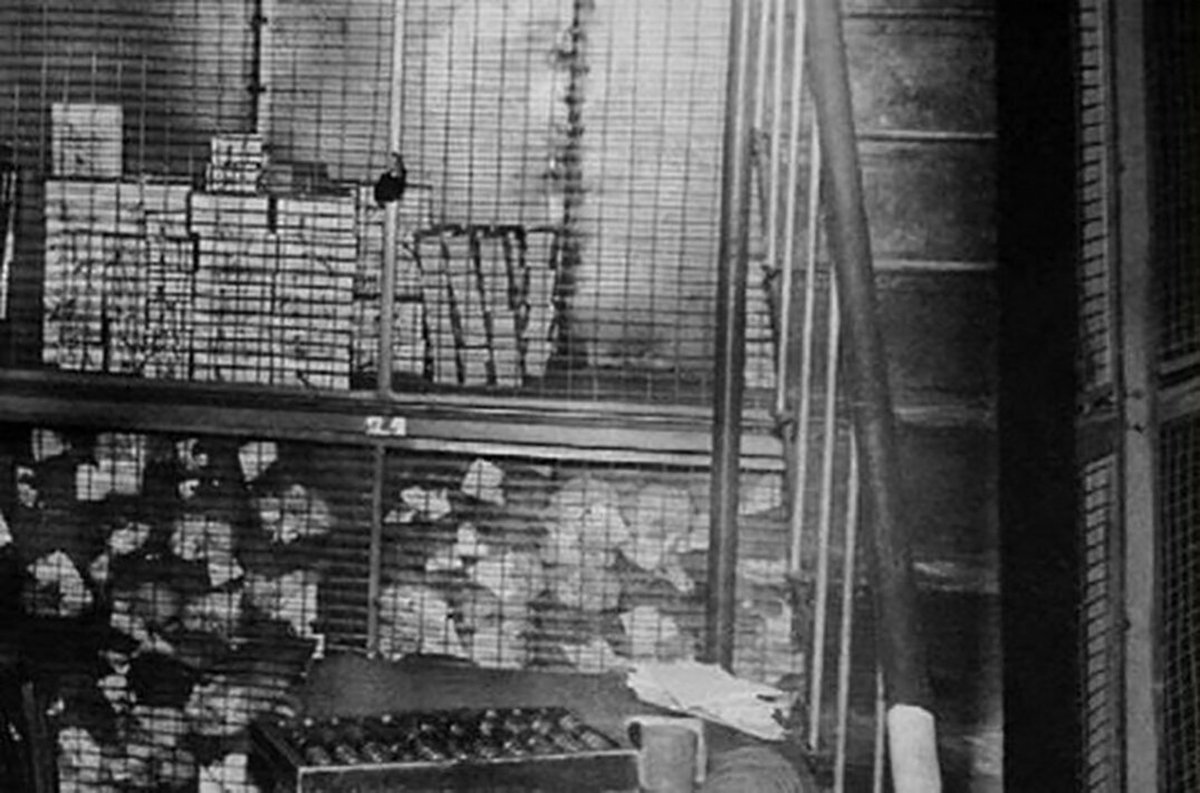 Комната в отделении банка. Фото:  collab.am