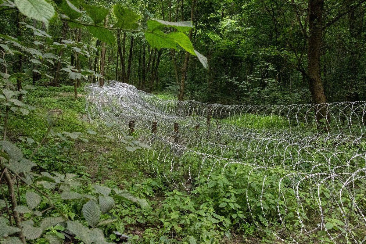 Колючая проволока на линии фронта в Сумской области, июнь 2025 года. Фото:  Генштаб ВСУ