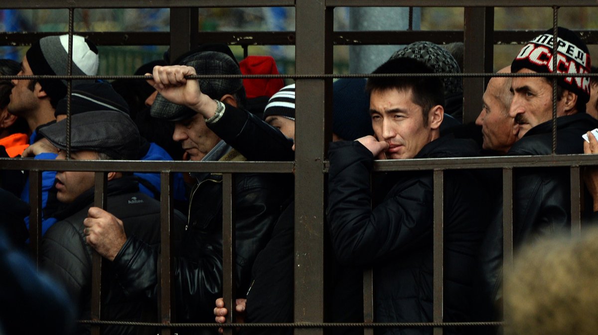 Принудительный эксперимент