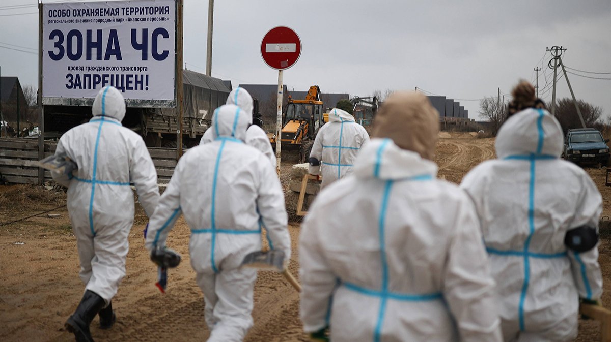 На пляжах Анапы найдено канцерогенное вещество бензпирен. Оно действительно опасно?