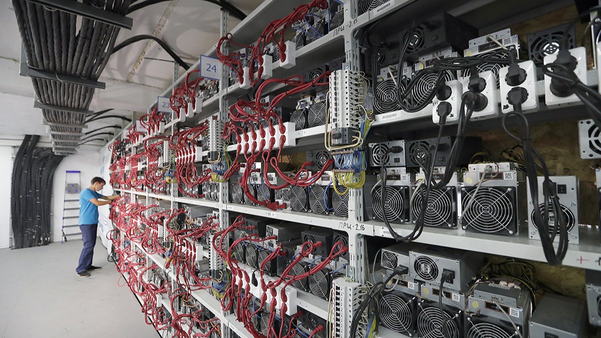 «Запреты заставляют уходить в тень»