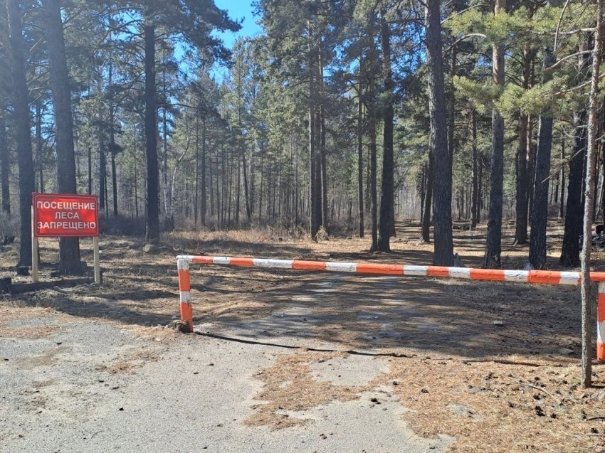 Фото:  пресс-служба Минприроды Забайкалья