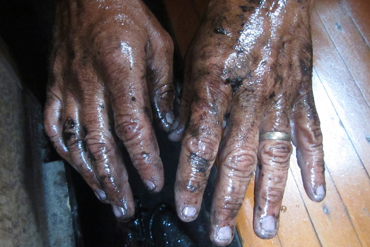 Фото: B.A.E. Inc. / Alamy / Vidapress