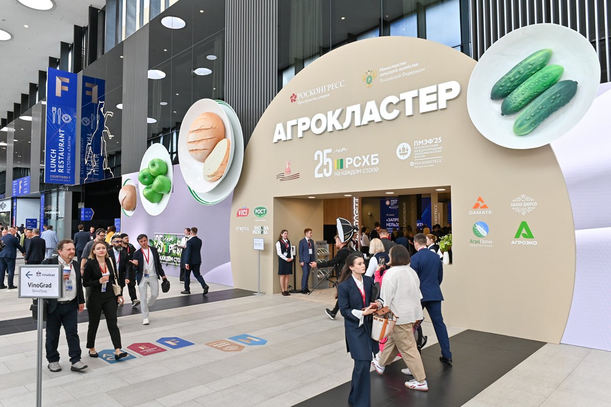 Фото: Росконгресс