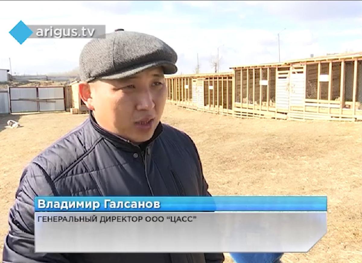 Скриншот: «Аригус»