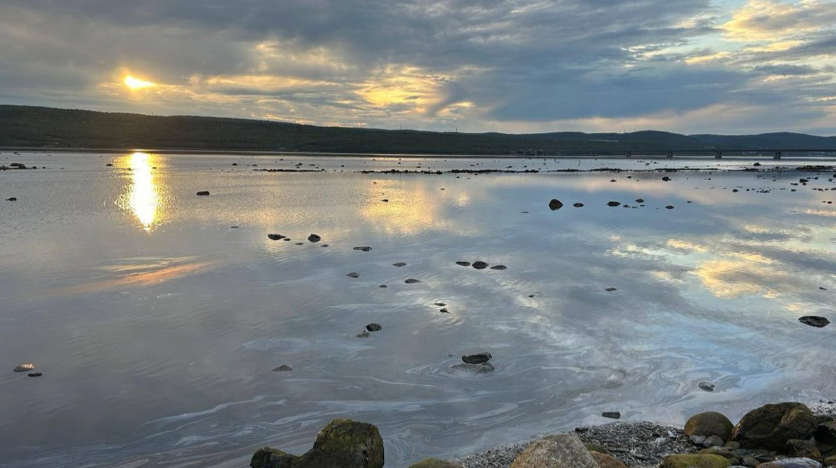 «Налицо наплевательское отношение власти»