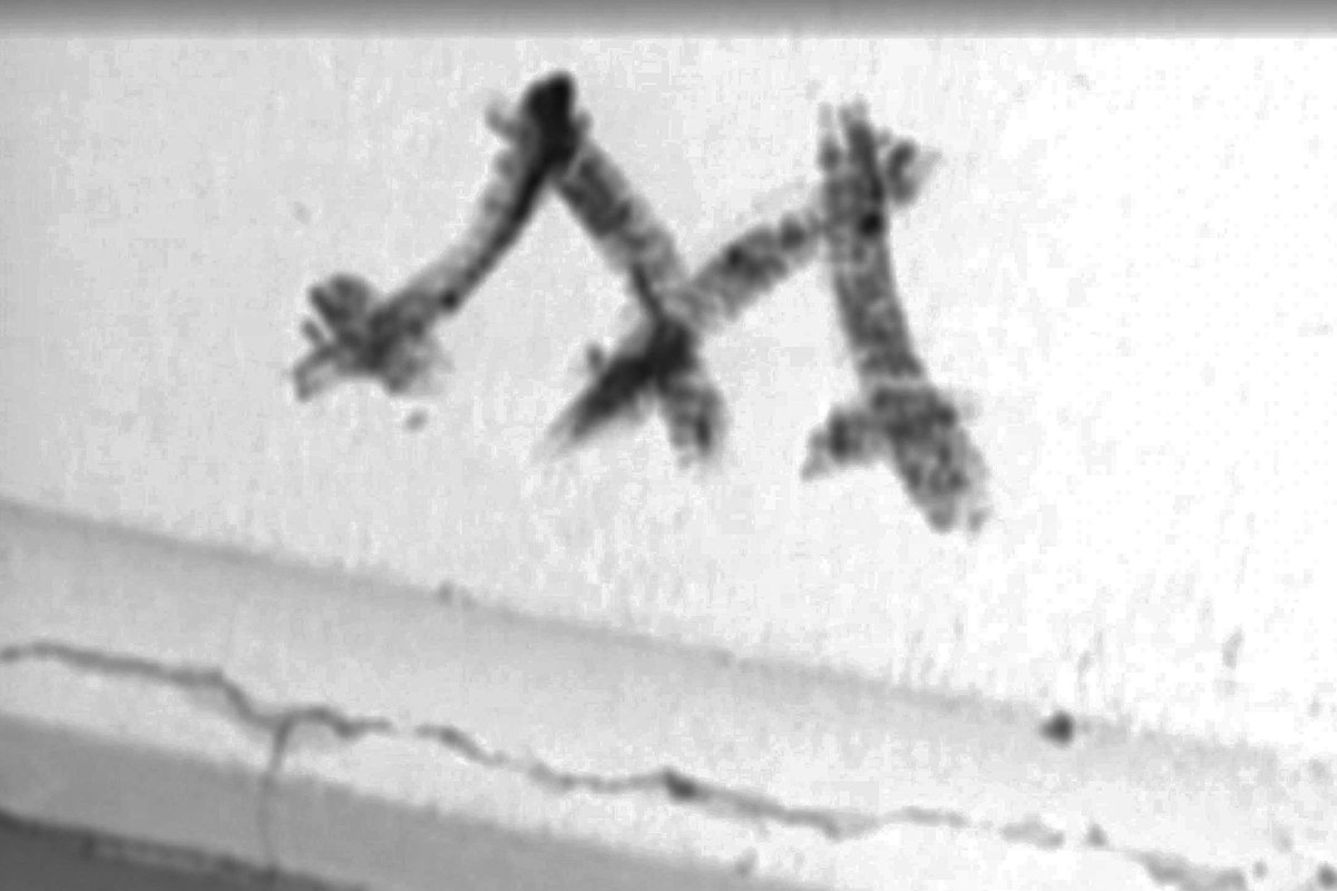 Такой знак находили на каждом месте преступления. Источник:  ntv.ru