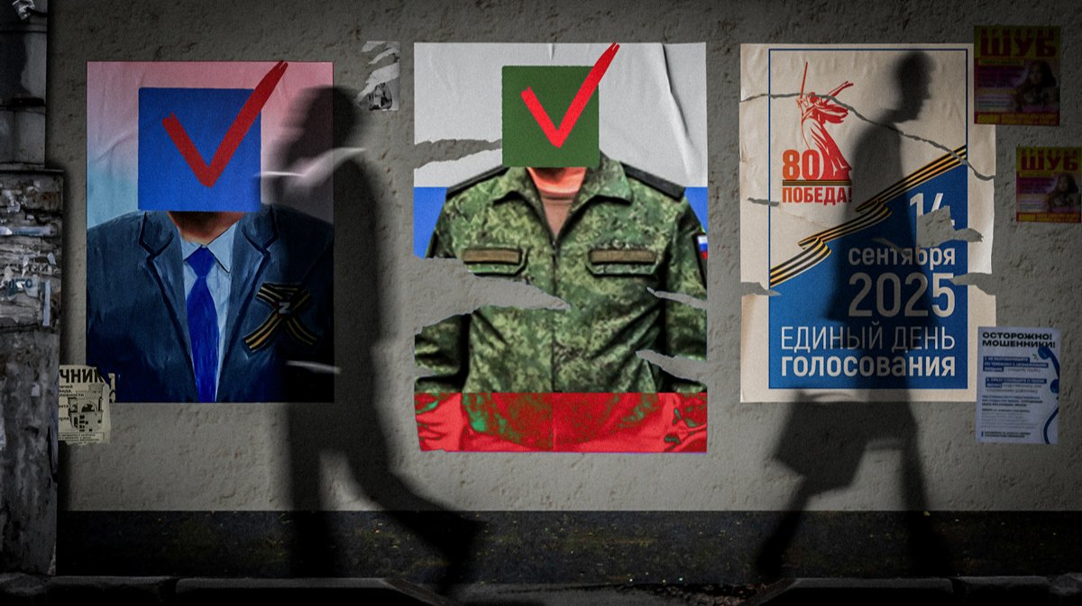 1,5% кандидатов от «СВО»