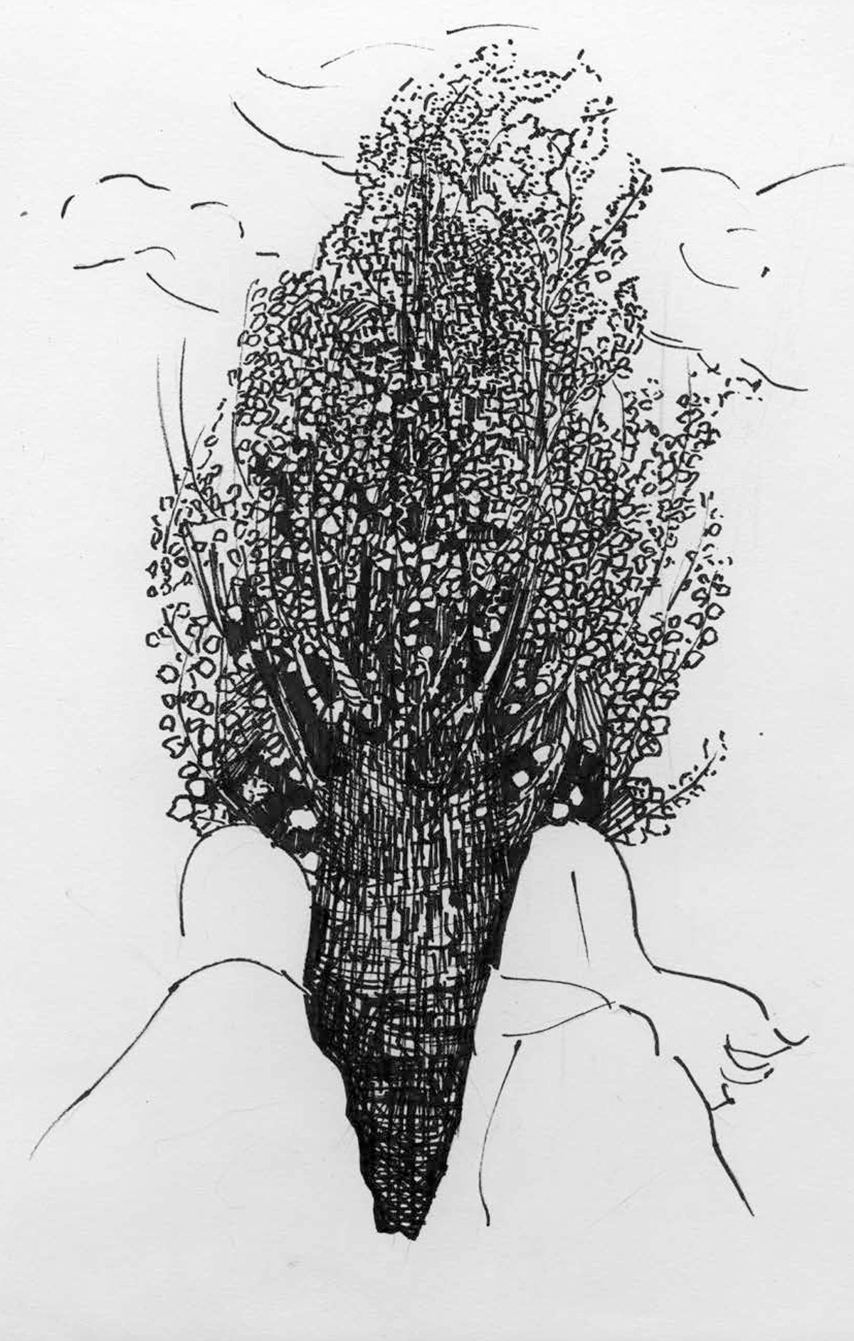 Иллюстрация Саши Скочиленко