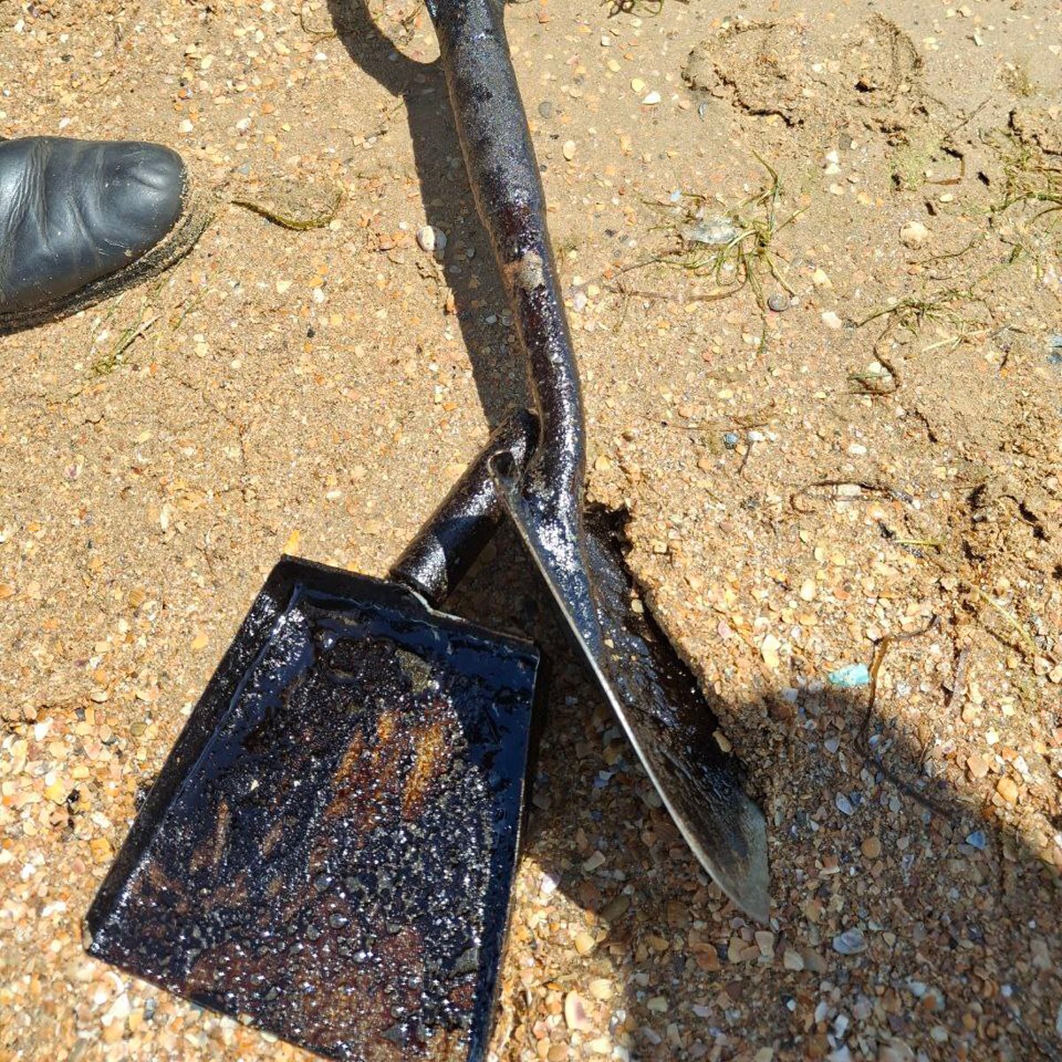 Лопаты, которыми водолазы убирают мазут в мешки на глубине, Анапа. Фото: Руфина Гарипова