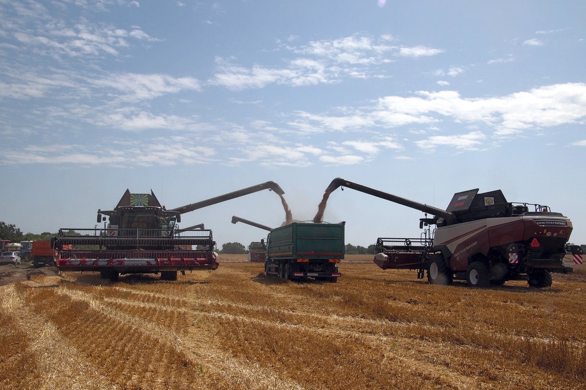 Уборка зерновых в Ростовской области на полях крестьянско-фермерского хозяйства «Деметра», 2023 год. Фото: Василий Дерюгин / Коммерсантъ / Sipa USA / Vida Press
